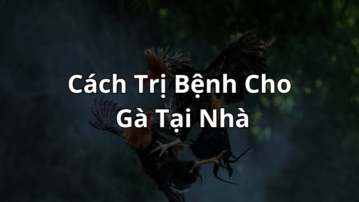 Cách Trị Bệnh Cho Gà Tại Nhà Hiệu Quả – Hướng Dẫn Từ DaGa88