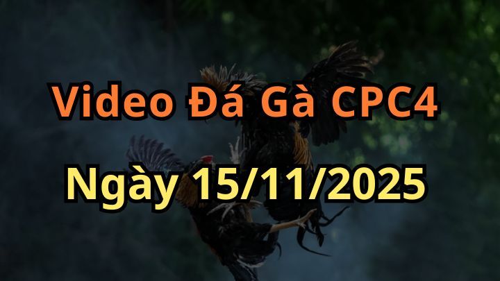 Video Đá Gà Trực Tiếp Thomo CPC4 Ngày 15/11/2025 Đá Gà 88
