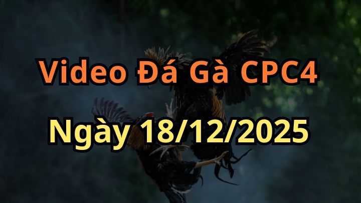 Clip Đá Gà Trực Tiêp CPC4 Ngày 18/12/2025