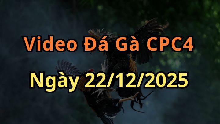 Clip Đá Gà Trực Tiếp CPC4 Ngày 22/12/2025