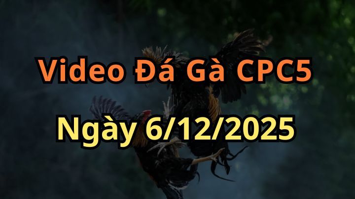 Clip Đá Gà Trực Tiếp Thomo CPC5 ngày 6/12/2025