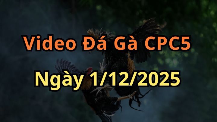 Clip Đá Gà Trực Tiếp CPC5 ngày 1/12/2025