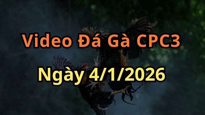 Clip Đá Gà Trực Tiếp CPC3 Ngày 4/1/2026 Mới Nhất